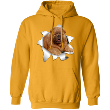 Load image into Gallery viewer, CHOW CHOW 3D Pullover Hoodie 8 oz.