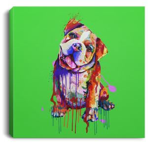 Hand Painted Bull Dog Square Canvas .75in Frame