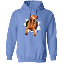 Load image into Gallery viewer, VIZSLA 3D Pullover Hoodie 8 oz.