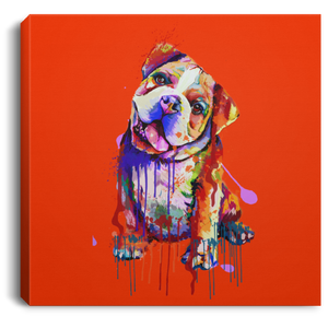 Hand Painted Bull Dog Square Canvas .75in Frame
