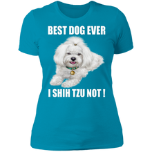 Load image into Gallery viewer, BEST DOG EVER Ladies&#39; Boyfriend T-Shirt