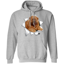 Load image into Gallery viewer, CHOW CHOW 3D Pullover Hoodie 8 oz.