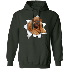 Load image into Gallery viewer, CHOW CHOW 3D Pullover Hoodie 8 oz.