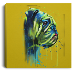 Hand Painted Bull Dog Square Canvas .75in Frame