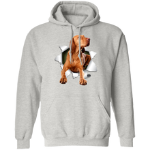 Load image into Gallery viewer, VIZSLA 3D Pullover Hoodie 8 oz.