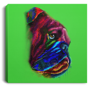 Hand Painted Bull Dog Square Canvas .75in Frame