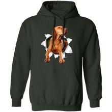 Load image into Gallery viewer, VIZSLA 3D Pullover Hoodie 8 oz.