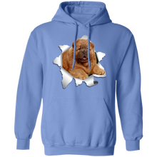 Load image into Gallery viewer, CHOW CHOW 3D Pullover Hoodie 8 oz.