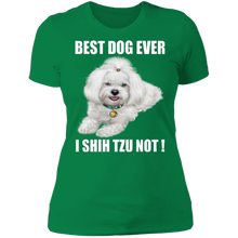 Load image into Gallery viewer, BEST DOG EVER Ladies&#39; Boyfriend T-Shirt