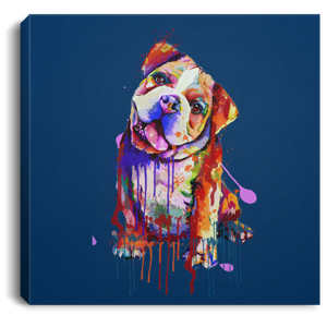 Hand Painted Bull Dog Square Canvas .75in Frame