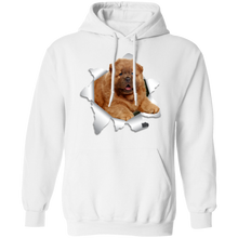 Load image into Gallery viewer, CHOW CHOW 3D Pullover Hoodie 8 oz.