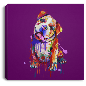 Hand Painted Bull Dog Square Canvas .75in Frame