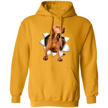 Load image into Gallery viewer, VIZSLA 3D Pullover Hoodie 8 oz.