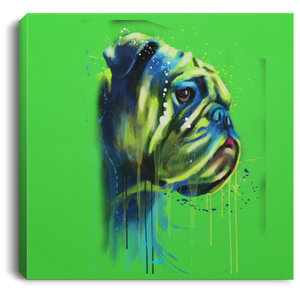 Hand Painted Bull Dog Square Canvas .75in Frame
