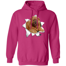 Load image into Gallery viewer, CHOW CHOW 3D Pullover Hoodie 8 oz.