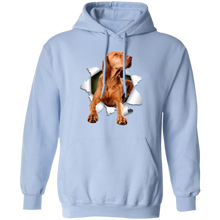 Load image into Gallery viewer, VIZSLA 3D Pullover Hoodie 8 oz.